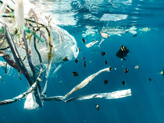 Transforming Waste into Wear: How Recycled Plastic Bottles Become Yarn